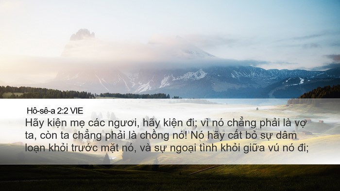 Hô-sê-a 2:2 VIE Bible Verse Image