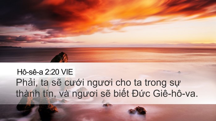 Hô-sê-a 2:20 VIE Bible Verse Image