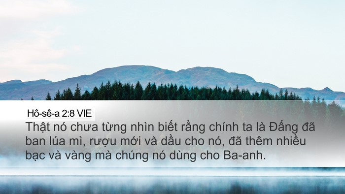 Hô-sê-a 2:8 VIE Bible Verse Image