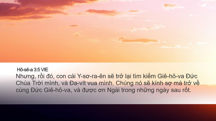 Hô-sê-a 3:5 VIE Bible Verse Image
