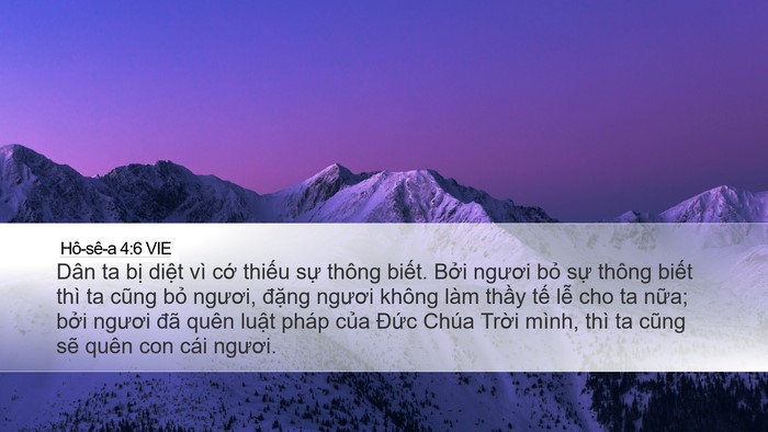 Hô-sê-a 4:6 VIE Bible Verse Image