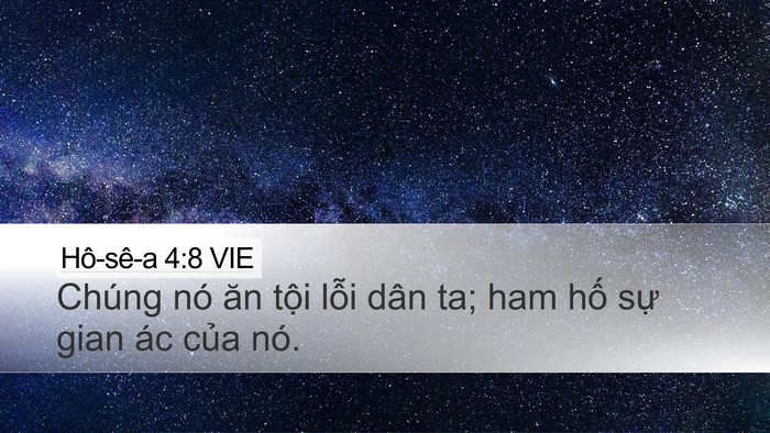 Hô-sê-a 4:8 VIE Bible Verse Image