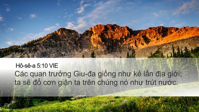 Hô-sê-a 5:10 VIE Bible Verse Image