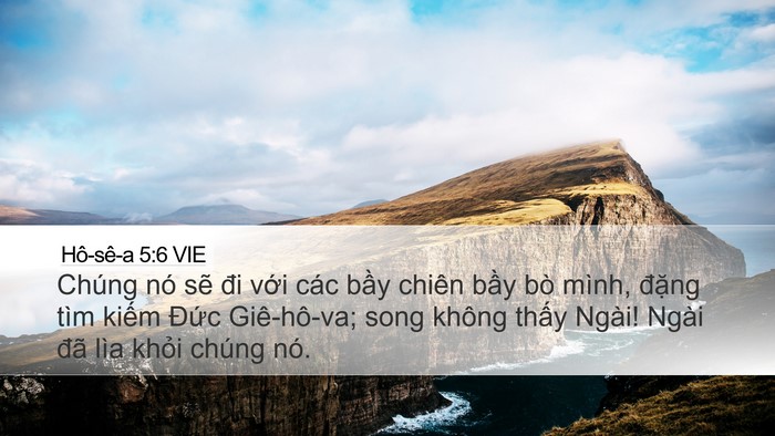 Hô-sê-a 5:6 VIE Bible Verse Image