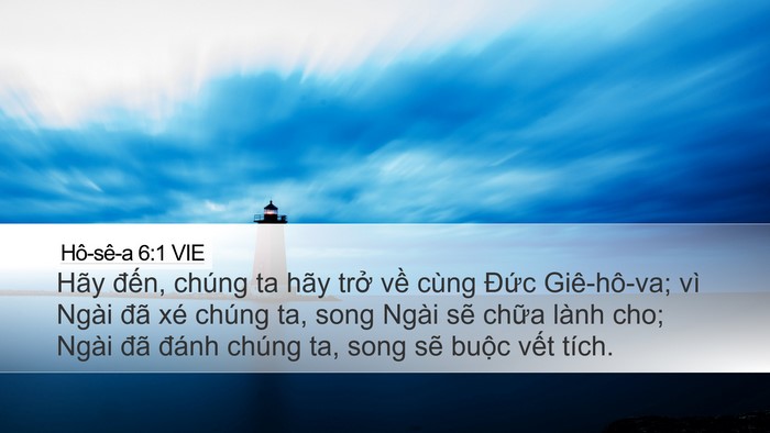 Hô-sê-a 6:1 VIE Bible Verse Image