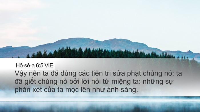 Hô-sê-a 6:5 VIE Bible Verse Image