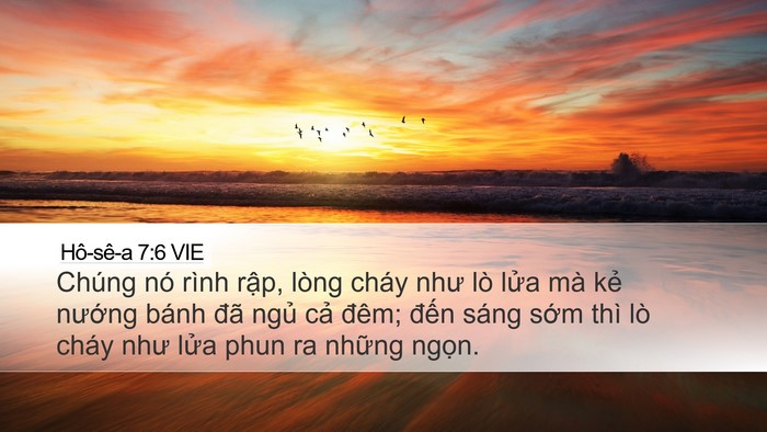 Hô-sê-a 7:6 VIE Bible Verse Image