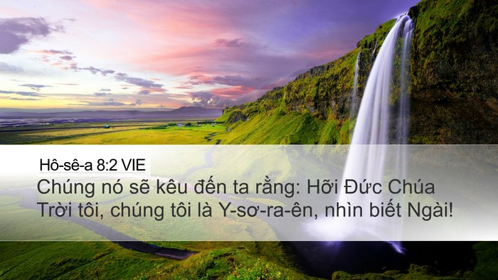 Hô-sê-a 8:2 VIE Desktop Wallpaper - Chúng nó sẽ kêu đến ta rằng: Hỡi - Desktop Bible Verse Wallpaper