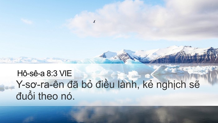 Hô-sê-a 8:3 VIE Desktop Wallpaper - Y-sơ-ra-ên đã bỏ điều lành, kẻ - Desktop Bible Verse Wallpaper