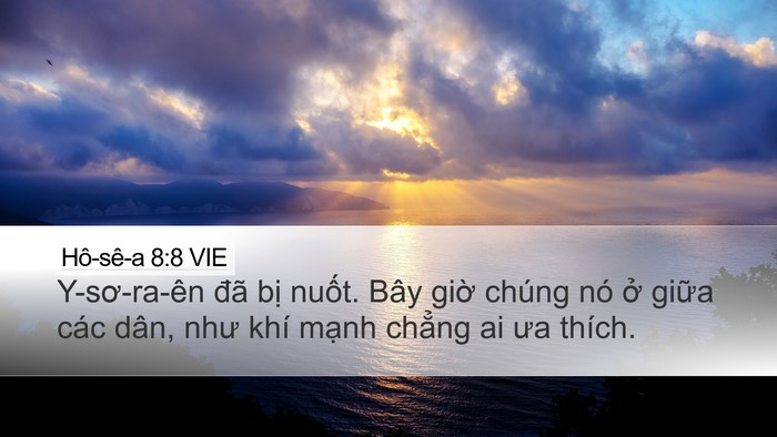 Hô-sê-a 8:8 VIE Bible Verse Image