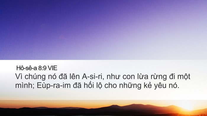 Hô-sê-a 8:9 VIE Desktop Wallpaper - Vì chúng nó đã lên A-si-ri, như con lừa - Desktop Bible Verse Wallpaper