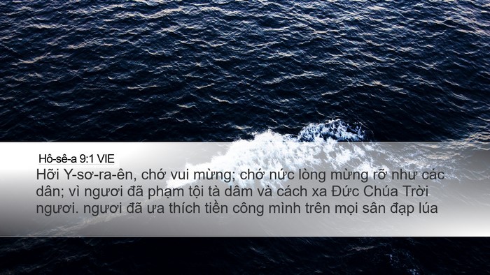 Hô-sê-a 9:1 VIE Bible Verse Image