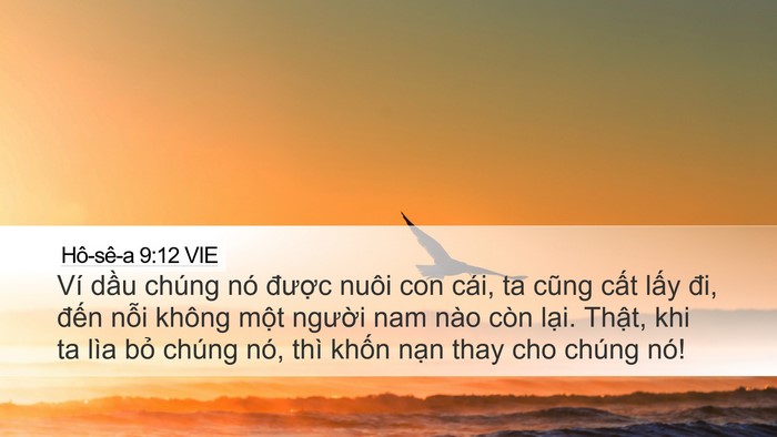 Hô-sê-a 9:12 VIE Bible Verse Image