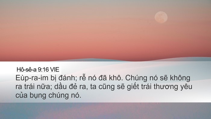 Hô-sê-a 9:16 VIE Bible Verse Image