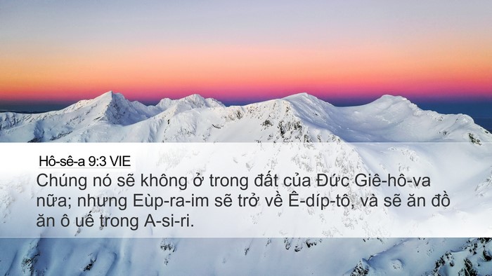 Hô-sê-a 9:3 VIE Bible Verse Image