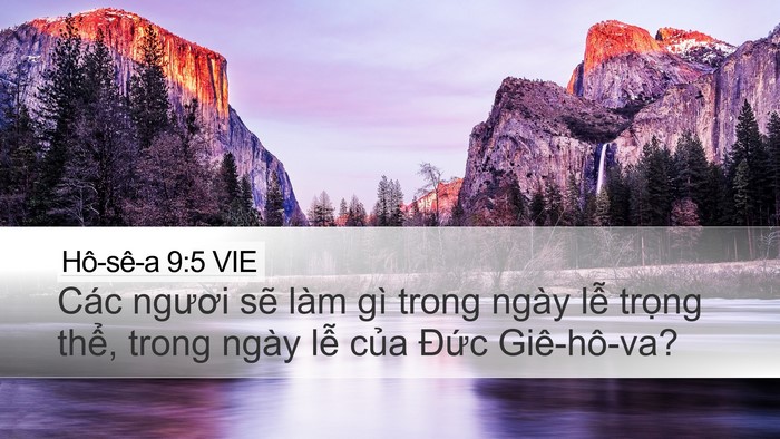 Hô-sê-a 9:5 VIE Bible Verse Image