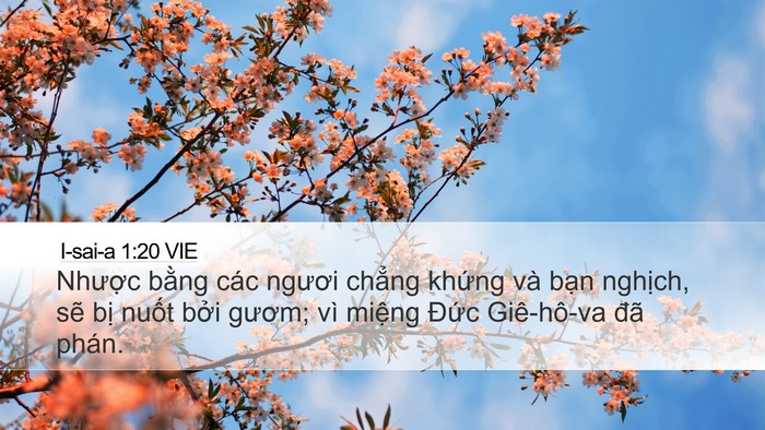 I-sai-a 1:20 VIE Bible Verse Image