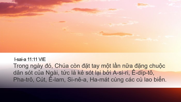 I-sai-a 11:11 VIE Bible Verse Image