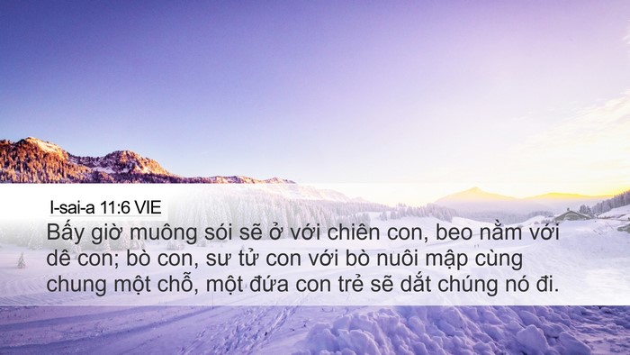 I-sai-a 11:6 VIE Bible Verse Image