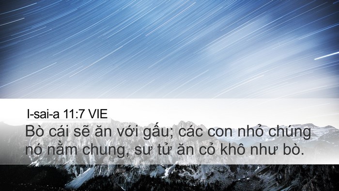 I-sai-a 11:7 VIE Desktop Wallpaper - Bò cái sẽ ăn với gấu; các con nhỏ - Desktop Bible Verse Wallpaper