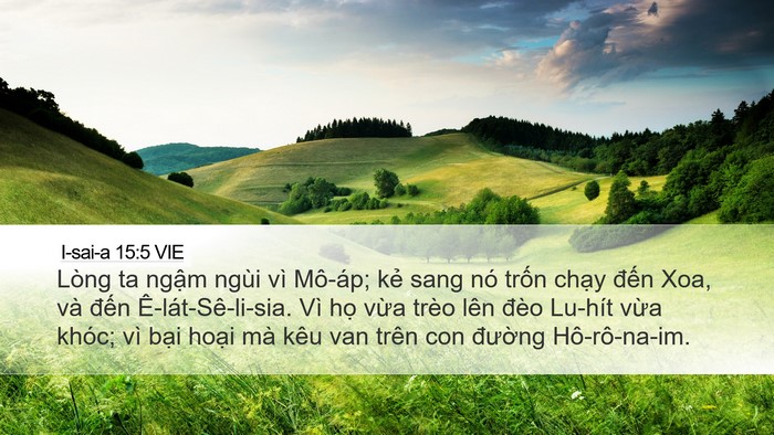 I-sai-a 15:5 VIE Bible Verse Image