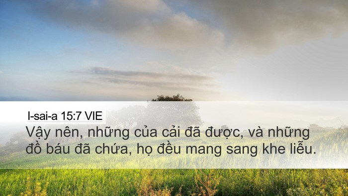 I-sai-a 15:7 VIE Bible Verse Image