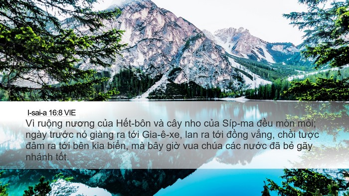 I-sai-a 16:8 VIE Bible Verse Image