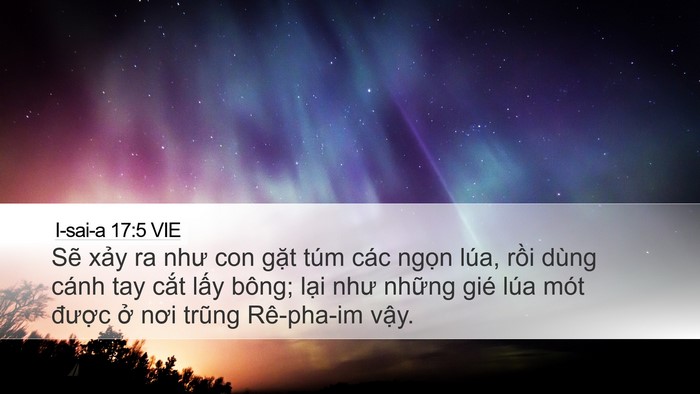 I-sai-a 17:5 VIE Bible Verse Image