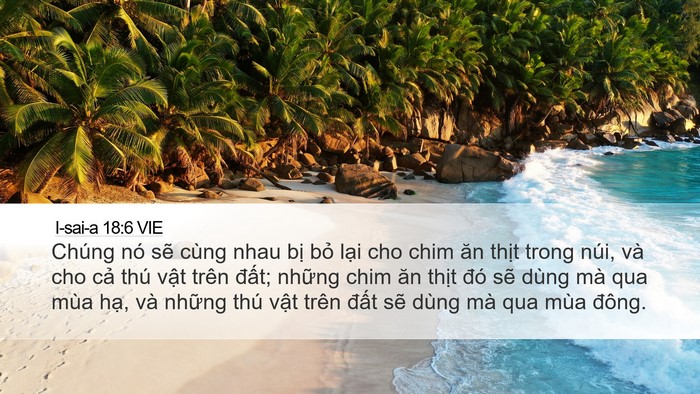 I-sai-a 18:6 VIE Bible Verse Image