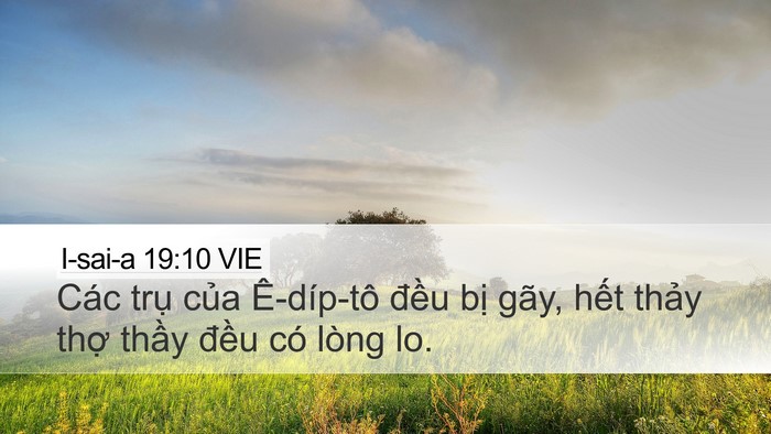 I-sai-a 19:10 VIE Desktop Wallpaper - Các trụ của Ê-díp-tô đều bị gãy, - Desktop Bible Verse Wallpaper