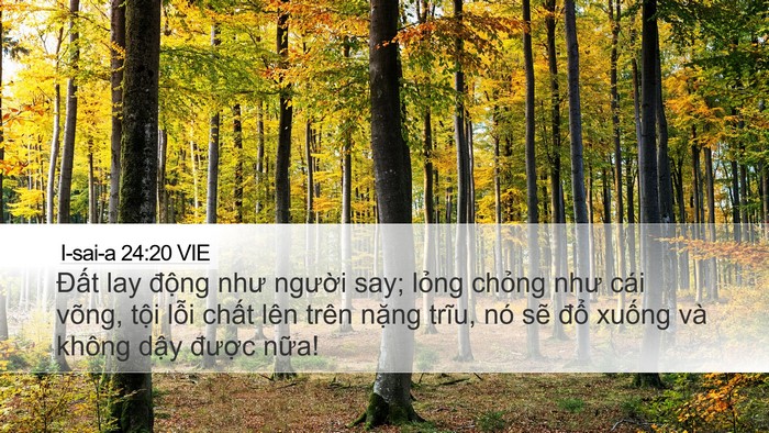 I-sai-a 24:20 VIE Bible Verse Image