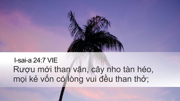 I-sai-a 24:7 VIE Bible Verse Image