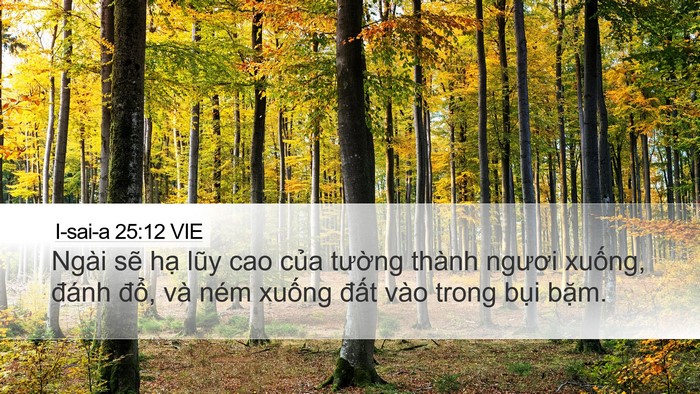 I-sai-a 25:12 VIE Bible Verse Image