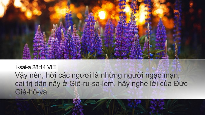 I-sai-a 28:14 VIE Bible Verse Image