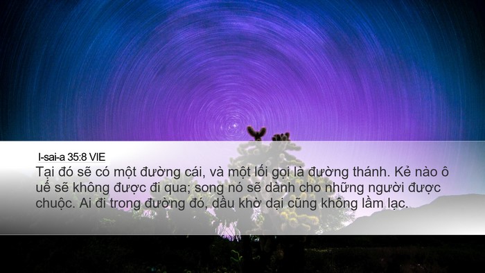 I-sai-a 35:8 VIE Bible Verse Image