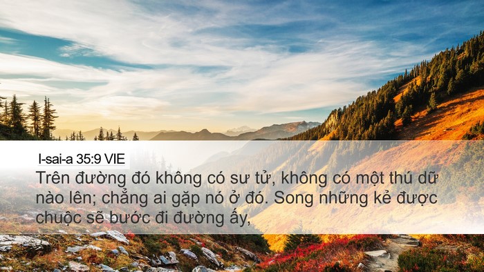 I-sai-a 35:9 VIE Bible Verse Image