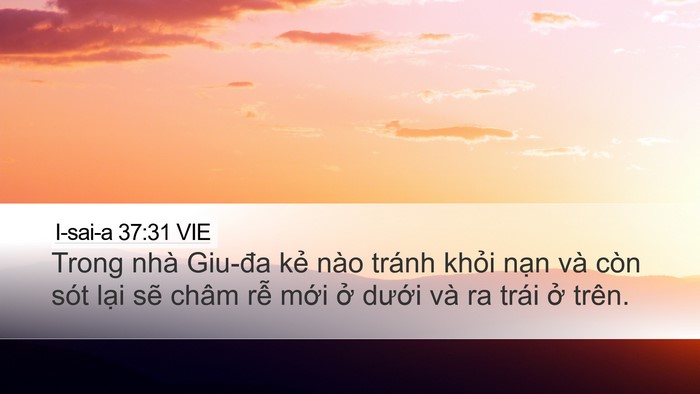 I-sai-a 37:31 VIE Bible Verse Image
