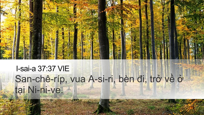 I-sai-a 37:37 VIE Bible Verse Image