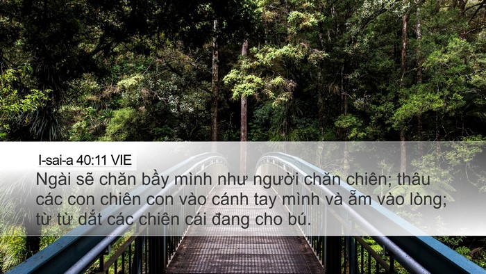 I-sai-a 40:11 VIE Bible Verse Image