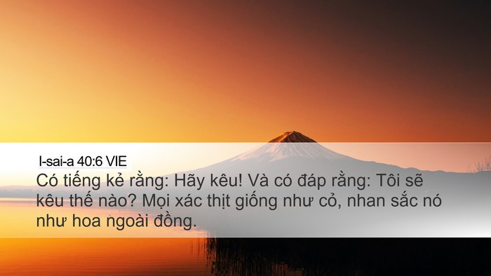 I-sai-a 40:6 VIE Bible Verse Image