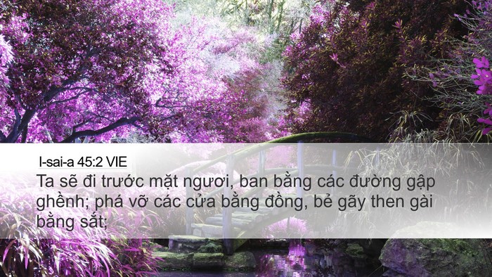 I-sai-a 45:2 VIE Bible Verse Image