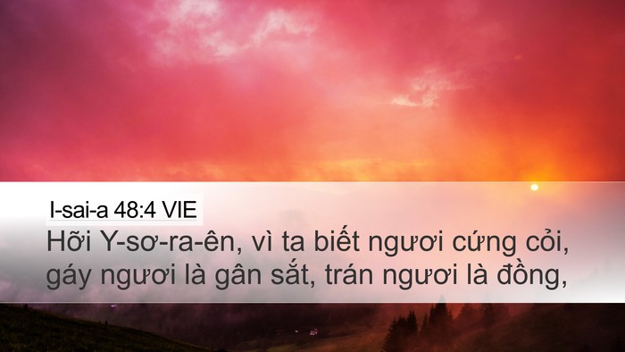 I-sai-a 48:4 VIE Bible Verse Image