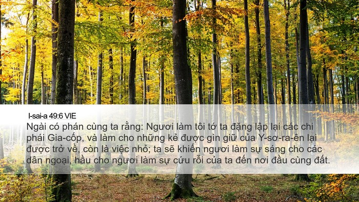 I-sai-a 49:6 VIE Bible Verse Image