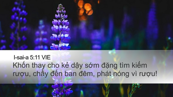 I-sai-a 5:11 VIE Bible Verse Image