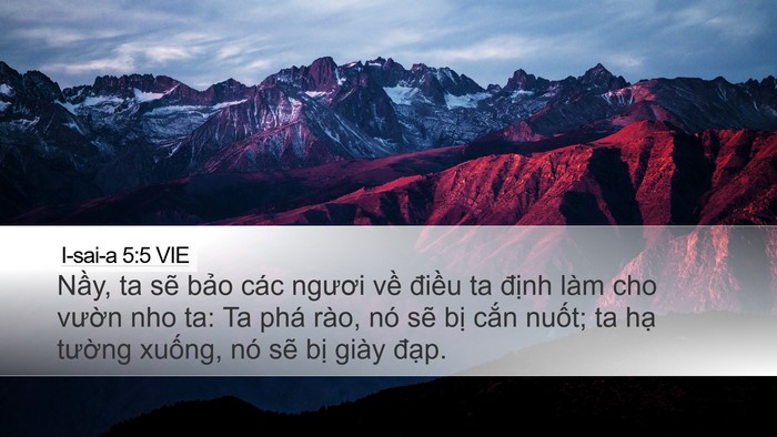 I-sai-a 5:5 VIE Bible Verse Image