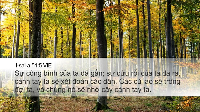 I-sai-a 51:5 VIE Bible Verse Image