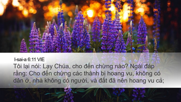 I-sai-a 6:11 VIE Bible Verse Image