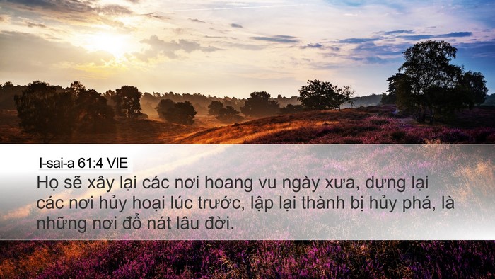 I-sai-a 61:4 VIE Bible Verse Image