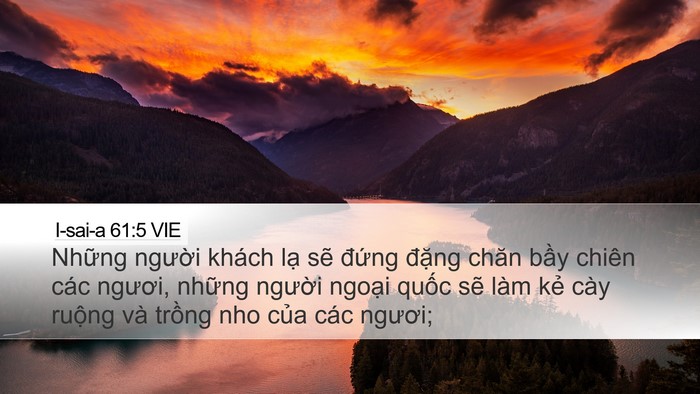 I-sai-a 61:5 VIE Bible Verse Image