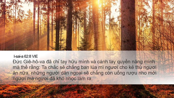 I-sai-a 62:8 VIE Bible Verse Image